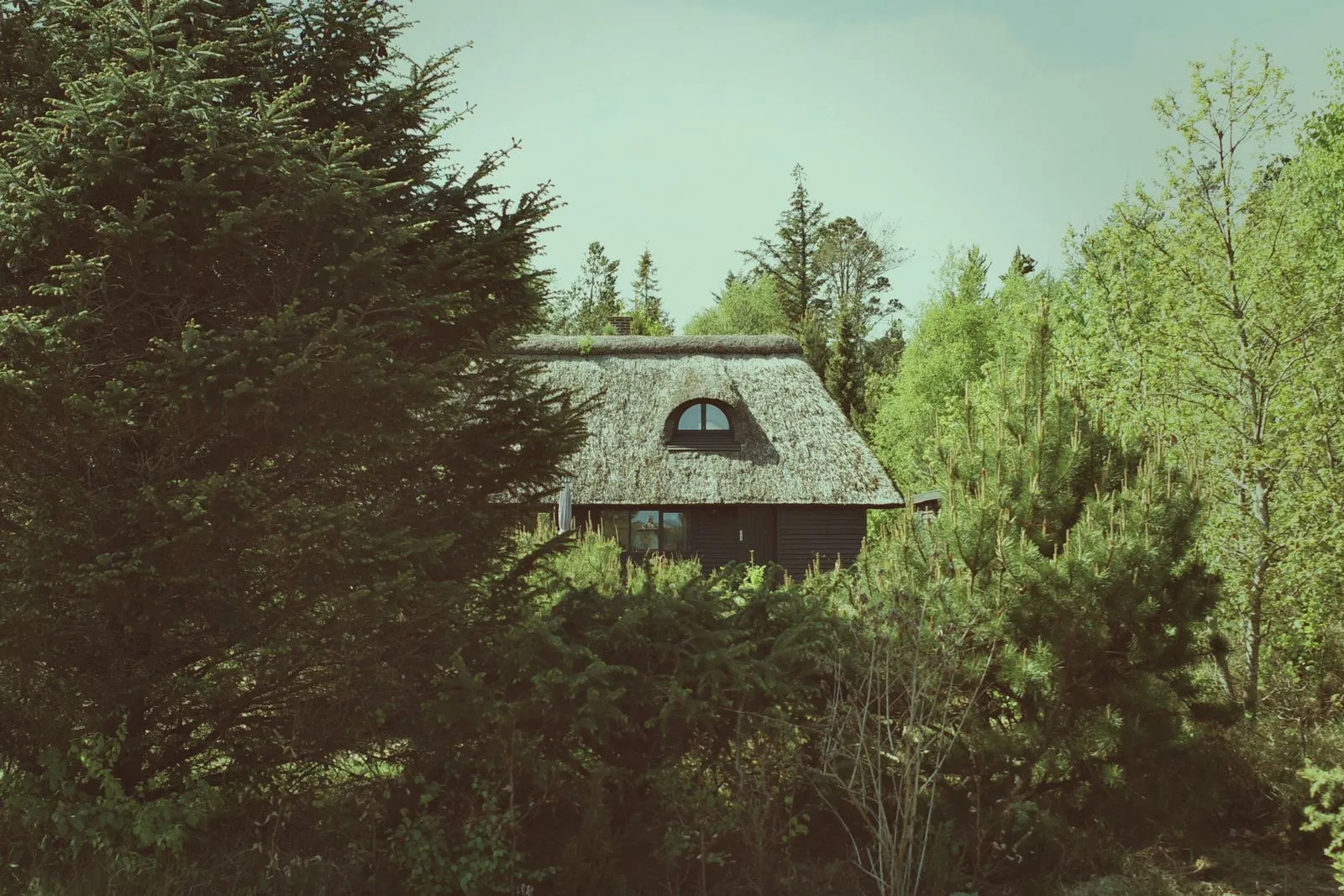 What to Look for in an Eco-Conscious Vacation Rental